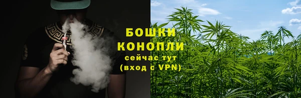 хмурый Михайловск