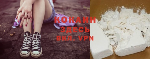 хмурый Михайловск