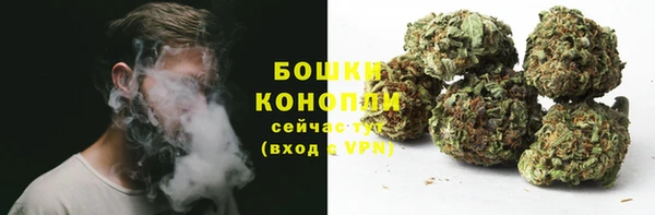 крисы Абдулино